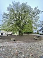 Rønhave