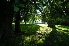 Rønhave