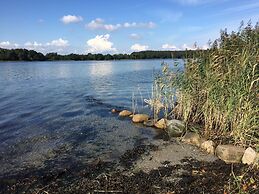 Rønhave