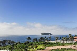 Jeju Castle