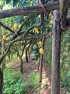B&B I Limoni
