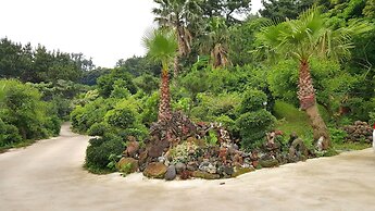 Dreaming Forest