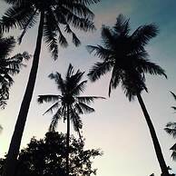Coco Garden Resort