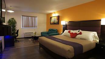 Dreamz Inn