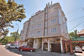 Aureliu Hotel