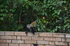 Selous Kinga Lodge