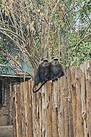 Selous Kinga Lodge