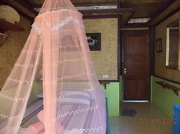 Island Front II