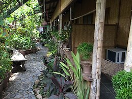 Island Front II
