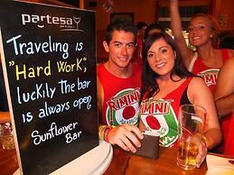 Sunflower City Student Hostel & Bar