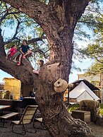 Atacama Loft & Glamp