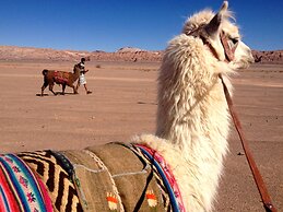Atacama Loft & Glamp