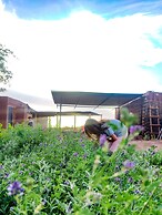Atacama Loft & Glamp