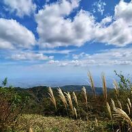 Merveille Arima