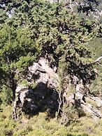 Metohi Georgila
