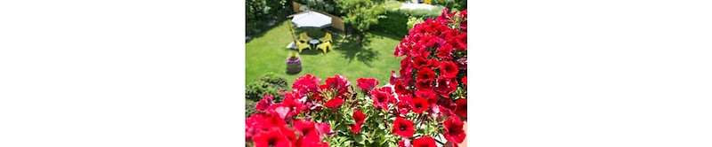 B&B Il Girasole