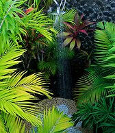 Amoa Resort Savaii