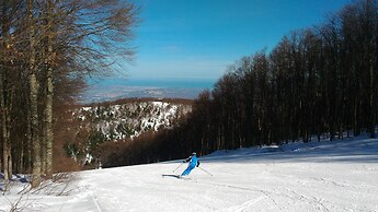 B&B Le Pietre Ricce