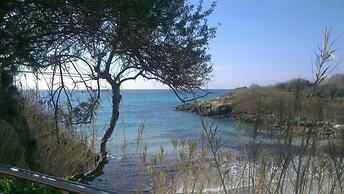Mon Reve