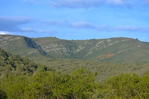 Addo Bush Palace Private Reserve