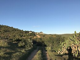 Addo Bush Palace Private Reserve