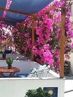 Doron Hotel Delfini