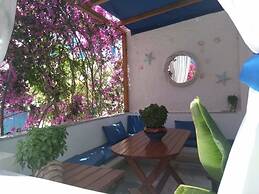 Doron Hotel Delfini