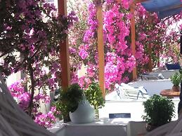 Doron Hotel Delfini