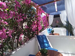 Doron Hotel Delfini