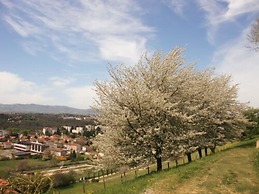 Domaine Lyon Saint Joseph