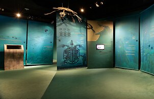 Ras Al Jinz Turtle Reserve