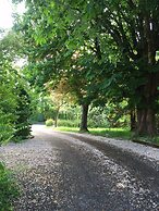 Llwyn Country House
