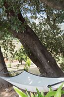 Finca Son Ametler