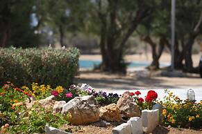 Paros Inn Seafront