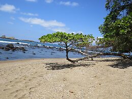 Pirate Cove