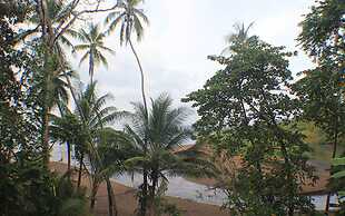 Pirate Cove