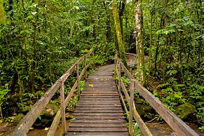 Termales del Bosque & Hot Springs