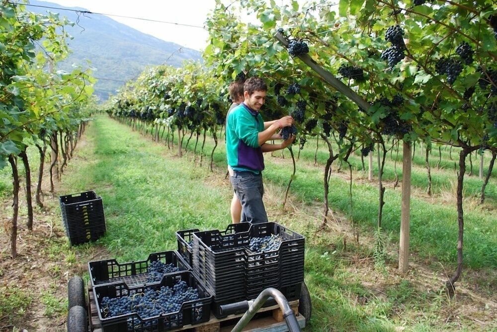 Agriturismo Salizzoni