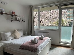 Corvin Center Suites