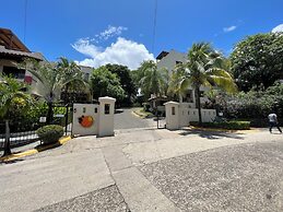 Tropical Gardens