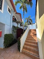 Tropical Gardens