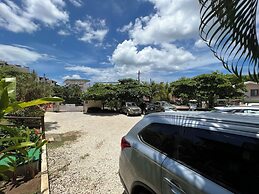 Tropical Gardens