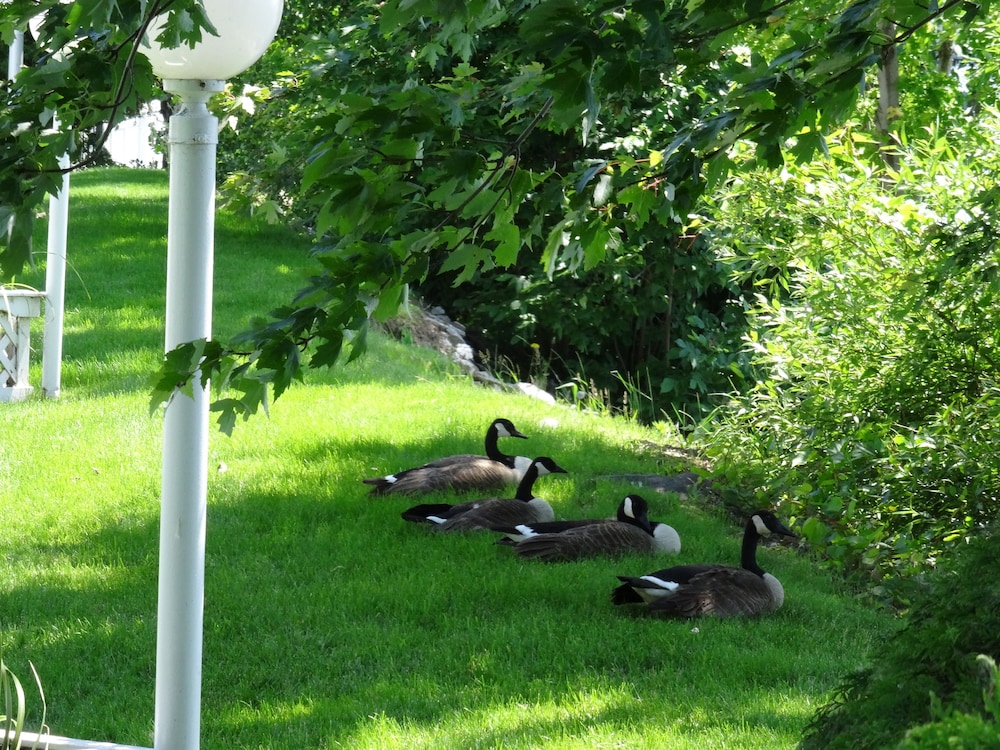 Motel Belle Rivière
