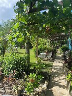 Ellen Bay Cottages