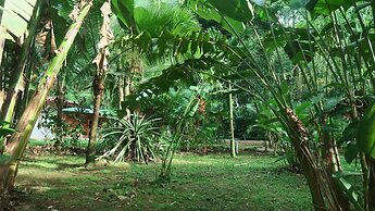 Casa Moabi