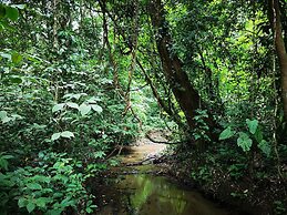 Danta Corcovado Lodge