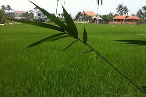 Rock Villa Hoi An