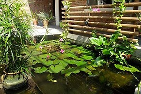Rock Villa Hoi An