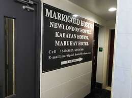 New London Hostel