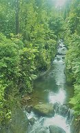 Serenity Lodges Dominica